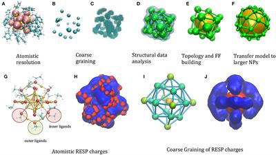 Building Minimalist Models for Functionalized Metal Nanoparticles